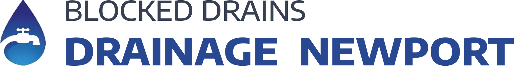 website logo